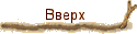 Вверх