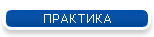 ПРАКТИКА